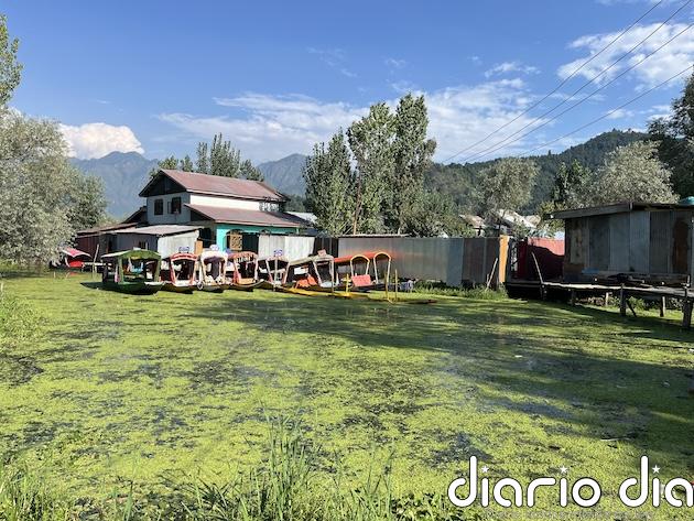 A los expulsados de lago de Cachemira, ahora les llaman a retornar y salvarlo