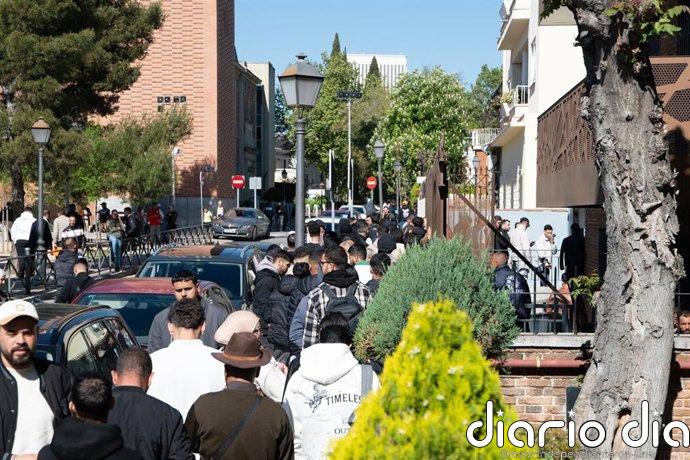 Abogados y entidades alertan de falta de información sobre la regularización en servicios públicos y esperas en el 060