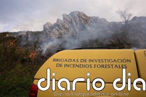 Actualización de los incendios forestales en Asturias: hay 12, siete de ellos activos, en diez municipios