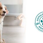 Albia inaugura el primer tanatorio-crematorio de Tenerife Norte con un modelo pionero