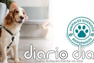 Albia inaugura el primer tanatorio-crematorio de Tenerife Norte con un modelo pionero