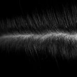 Alejandra Reolid, experta en tricología, sobre la importancia de cuidar el cuero cabelludo: "Es piel viva y funcional"