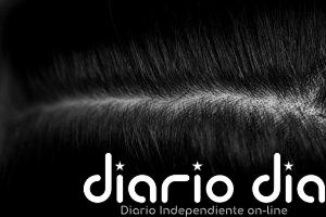 Alejandra Reolid, experta en tricología, sobre la importancia de cuidar el cuero cabelludo: "Es piel viva y funcional"