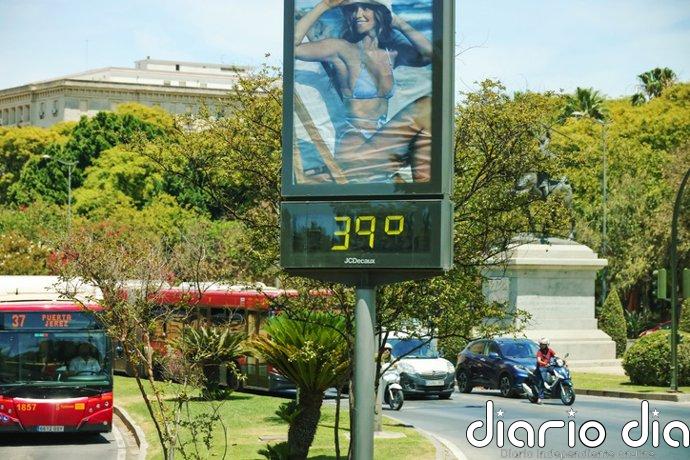 Alerta por el calor extremo: el nuevo estudio que revela por qué no debes ignorar tu aplicación del tiempo