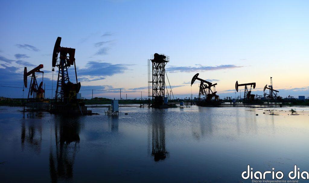 Ambientalistas exigen transición energética basada en la ciencia