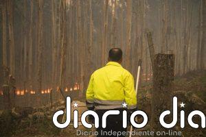 Ascienden a 280 las hectáreas afectadas por los incendios de Ponteareas y Carballo