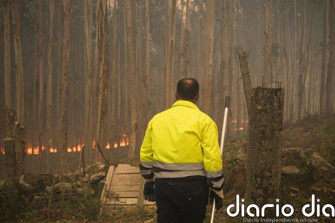 Ascienden a 280 las hectáreas afectadas por los incendios de Ponteareas y Carballo