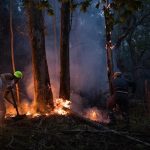 Ascienden a 900 las hectáreas calcinadas en los incendios de Ponteareas y Carballo, el primero ya controlado