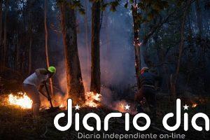 Ascienden a 900 las hectáreas calcinadas en los incendios de Ponteareas y Carballo, el primero ya controlado