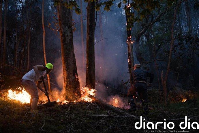 Ascienden a 900 las hectáreas calcinadas en los incendios de Ponteareas y Carballo, el primero ya controlado