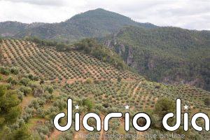 Beas de Segura (Jaén) acogerá en mayo la entrega de los Premios Ardilla, de la DOP Sierra de Segura