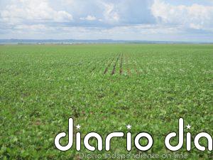 Biocombustibles mitigan ahora los impactos de las guerras fósiles