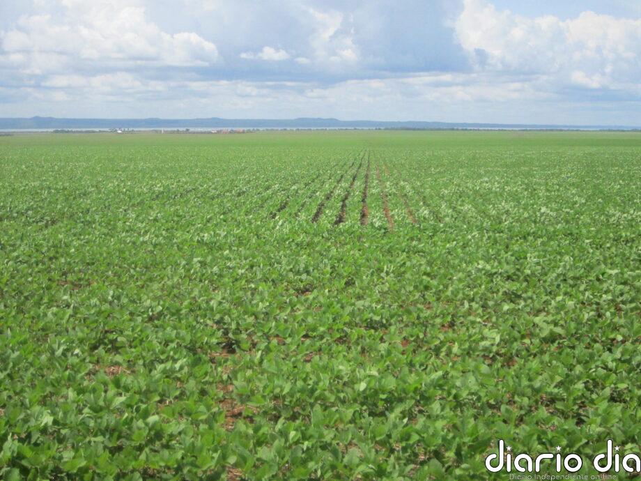 Biocombustibles mitigan ahora los impactos de las guerras fósiles
