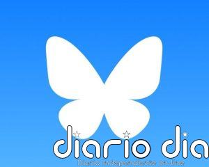 Bluesky mitiga un ataque DDoS que ocasionó interrupciones en la red social