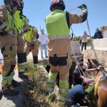 Bomberos rescatan a un caballo que había caído a una acequia en Burriana