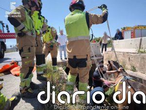 Bomberos rescatan a un caballo que había caído a una acequia en Burriana
