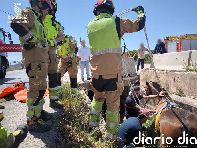Bomberos rescatan a un caballo que había caído a una acequia en Burriana