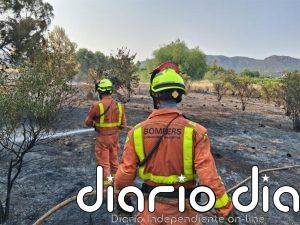 Bomberos trabajan en un incendio forestal declarado en Albaida
