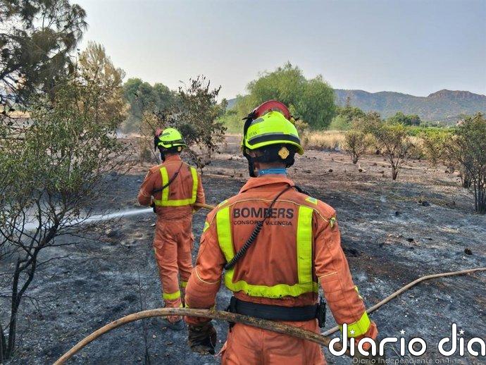 Bomberos trabajan en un incendio forestal declarado en Albaida
