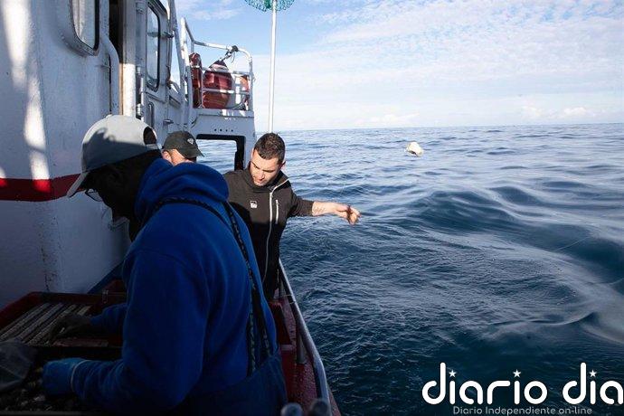 Bruselas activa ayudas de emergencia para el sector pesquero por el impacto de la crisis en Oriente Próximo