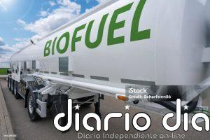 Buscan transformar residuos forestales en combustibles sostenibles para aviación y transporte terrestre