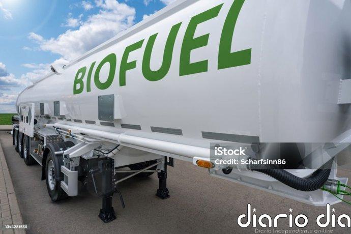 Buscan transformar residuos forestales en combustibles sostenibles para aviación y transporte terrestre