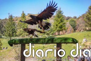 Cabárceno completa su aforo este Sábado Santo con 8.162 visitantes, un 41,3% más