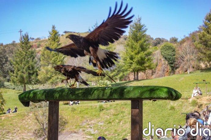 Cabárceno completa su aforo este Sábado Santo con 8.162 visitantes, un 41,3% más