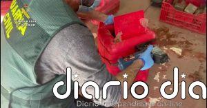 Cae en Almería una red de narcotraficantes implicada en un tiroteo