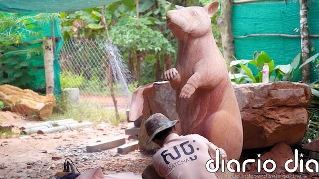 Camboya homenajea a una rata africana experta en detectar minas antipersonales