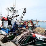 Cantabria exige a la UE y al Ministerio ayudas inmediatas para los pescadores de verdel