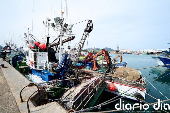 Cantabria exige a la UE y al Ministerio ayudas inmediatas para los pescadores de verdel