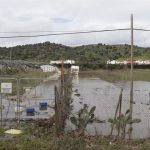 COAG-A valora el "amplio alcance" de las ayudas por el temporal y reclama incluir apicultura y ganadería sin base
