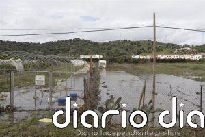 COAG-A valora el "amplio alcance" de las ayudas por el temporal y reclama incluir apicultura y ganadería sin base