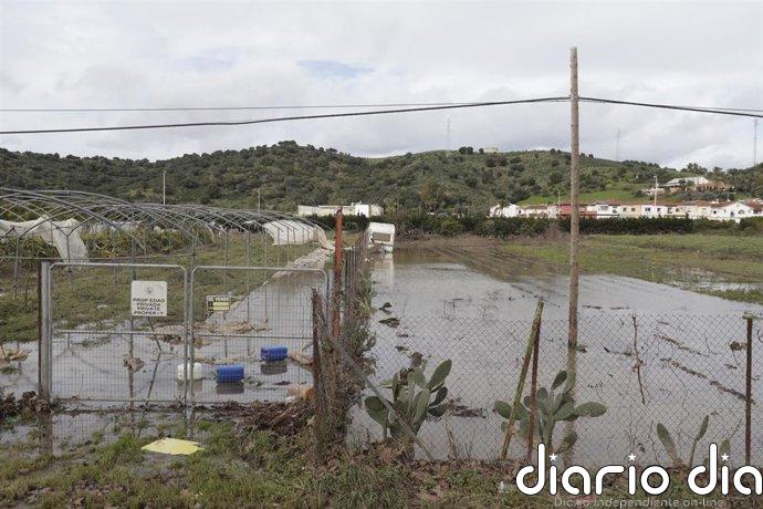 COAG-A valora el "amplio alcance" de las ayudas por el temporal y reclama incluir apicultura y ganadería sin base