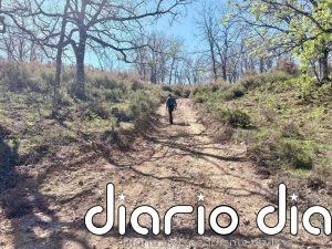 Continúa la búsqueda del hombre desaparecido en Jarandilla de la Vera (Cáceres) el pasado jueves