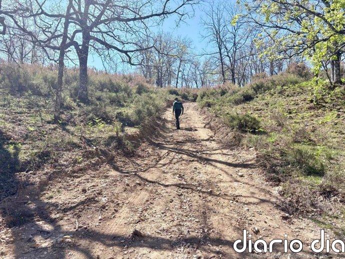 Continúa la búsqueda del hombre desaparecido en Jarandilla de la Vera (Cáceres) el pasado jueves