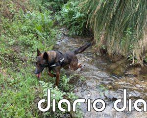 Continúa por sexto día consecutivo el dispositivo de búsqueda del hombre desapareciendo en Jarandilla de la Vera