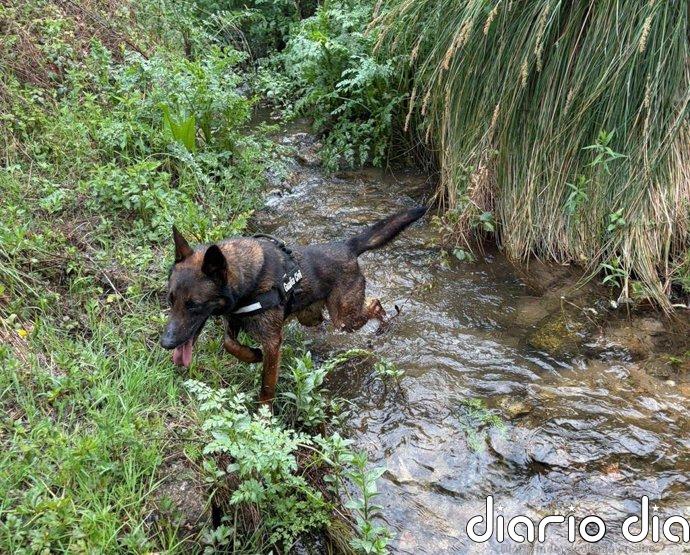 Continúa por sexto día consecutivo el dispositivo de búsqueda del hombre desapareciendo en Jarandilla de la Vera