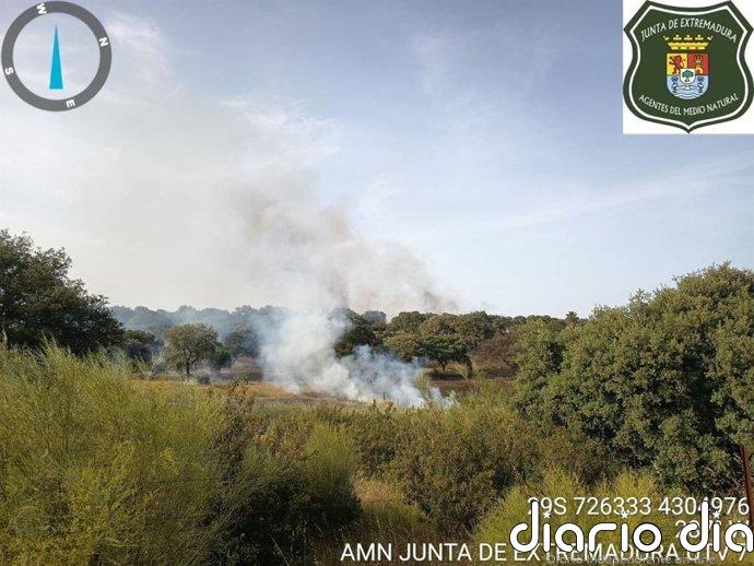 Controlado el incendio forestal declarado en Calamonte (Badajoz)