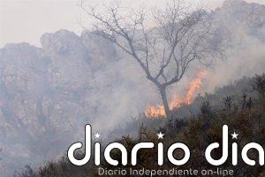 CSIF alerta del riego de que España afronte un verano "sin medios ni plantillas adecuadas" para prevenir los incendios