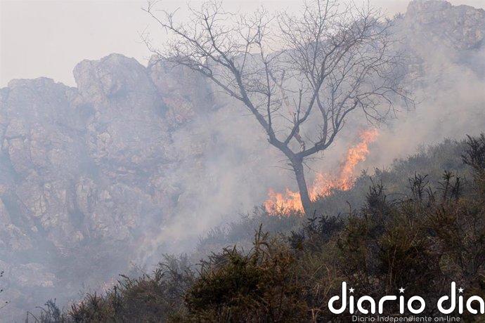 CSIF alerta del riego de que España afronte un verano "sin medios ni plantillas adecuadas" para prevenir los incendios
