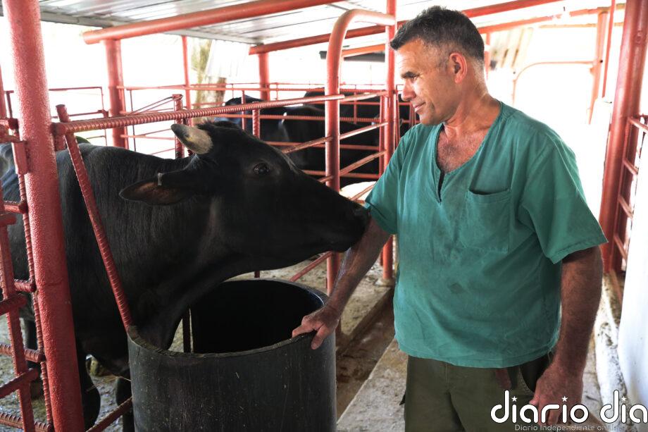 Cuba flexibiliza la comercialización de productos agrícolas