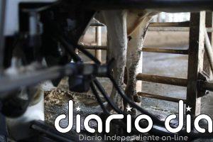 CyL saca una nueva ayuda para compensar los costes de la recogida de leche en explotaciones de zonas de montaña