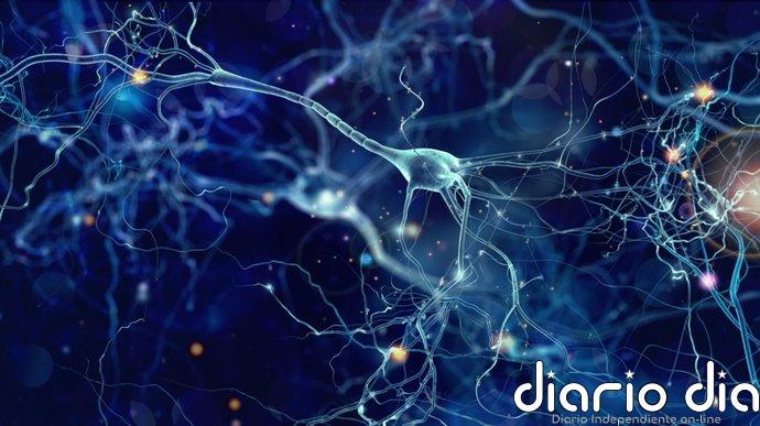 Describen un nuevo método que controla las vías neuronales