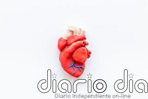 Descubren que gemelos digitales del corazón mejoran los resultados de la ablación en pacientes con arritmias