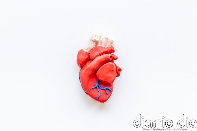 Descubren que gemelos digitales del corazón mejoran los resultados de la ablación en pacientes con arritmias