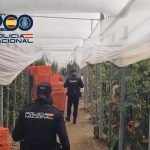 Detenidos dos empresarios agrícolas en El Ejido (Almería) por emplear a migrantes en situación irregular