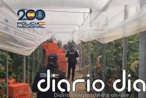 Detenidos dos empresarios agrícolas en El Ejido (Almería) por emplear a migrantes en situación irregular
