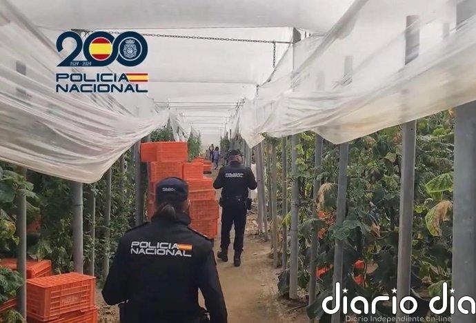 Detenidos dos empresarios agrícolas en El Ejido (Almería) por emplear a migrantes en situación irregular